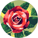 ANAH ANNAH profile picture