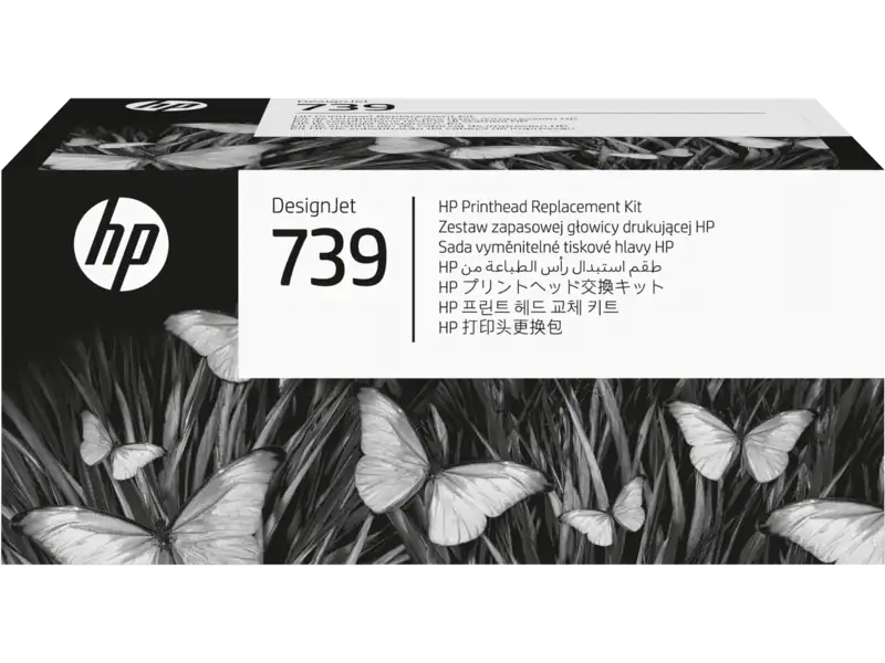 3923152240